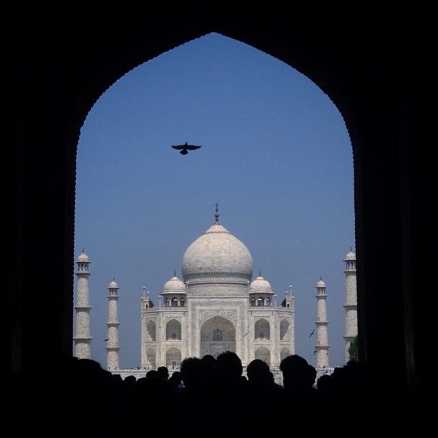 Taj Mahal in Agra was just absolutely breath taking.  You can not understand from photographs what it is like to be there. Such an amazing story of love too <3