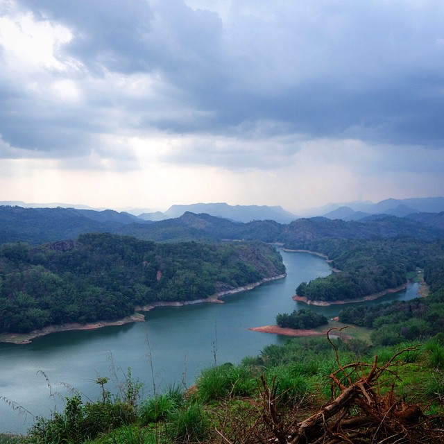 After our 7 hour car ride, the longest car ride I have ever been on, climbing and winding up the mountainside that is Munnar,  we came upon this breathtaking view. This is the view from our hotel at the Ragamaya Resort in View Point, Kallimaly, Rajakkad, Munnar, Kerala, South India.  This resort is apparently far away from main Munnar, which we never got to see due to my planning, but just staying at this resort is very comfortable and an experience in itself.  I Highly recommend this hotel. I have never experienced anything like this view in my life. Their beds are extremely comfortable and the food here is so fresh and delicious. 