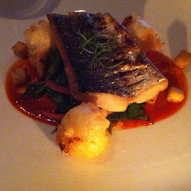 Annisa – West Village – NYC – Broiled Spanish Mackerel, fried garlic milk, satsumaimo (Japanese sweet potato), Korean chili. Holy mackerel this was delicious. My first time having it too.