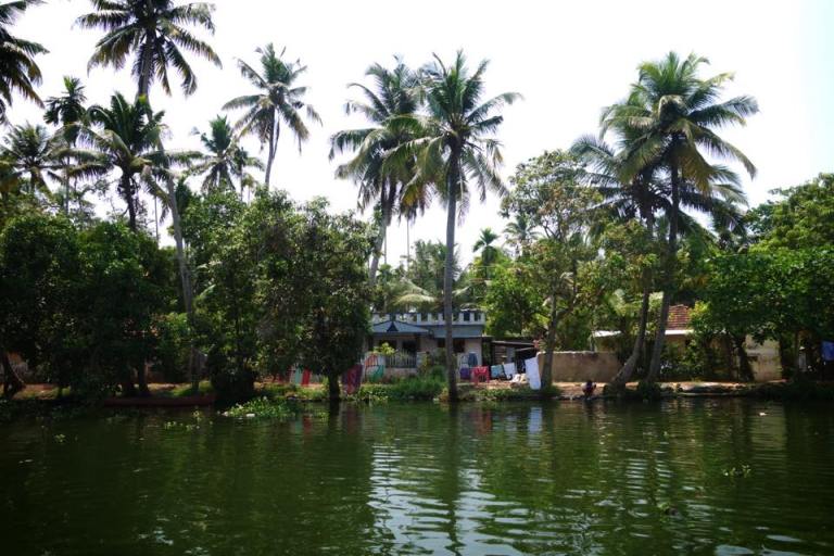 Peoples homes along the backwaters in Alleppey , Kerala, South India. 