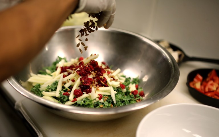 My favorite kale salad being prepared right in front of me. Kale, julienned green apple that's been soaked in lemon and water, craisins, and sunflower seeds which have been roasted at 325 degrees for 28 minutes, stirring half way through.